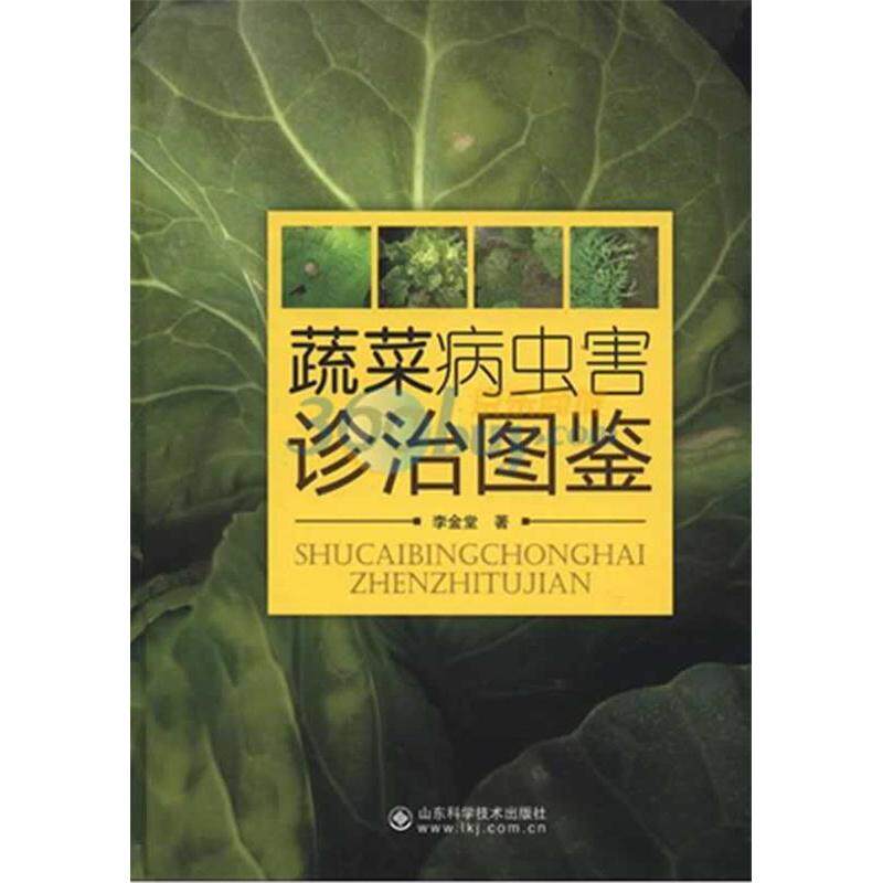 正版蔬菜病虫害诊治图鉴