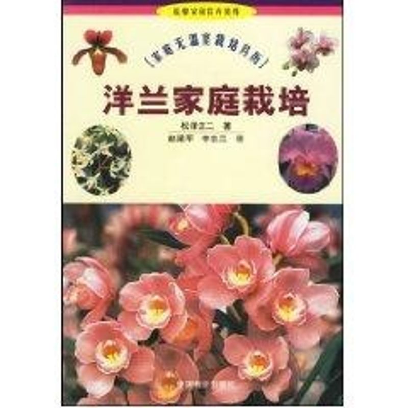 正版洋兰家庭栽培//温馨家园花卉装饰(7)