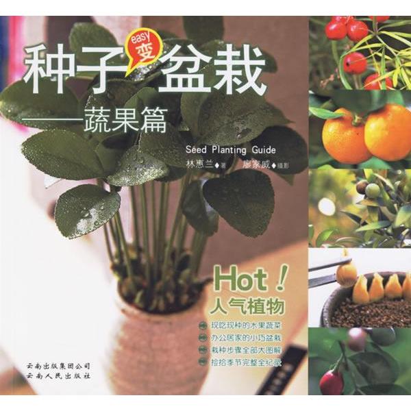 正版种子变盆栽:蔬果篇