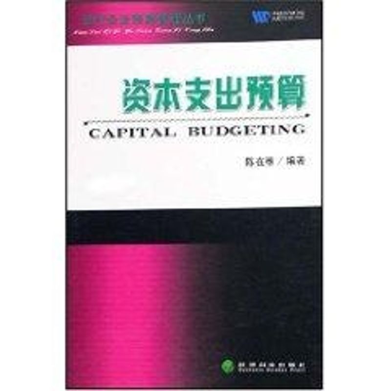正版资本支出预算