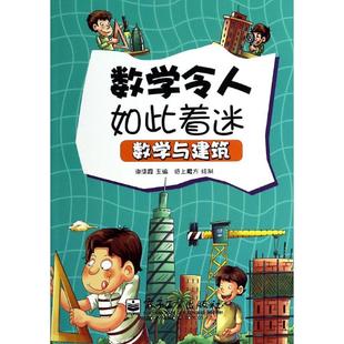 数学与建筑-数学令人如此着迷正版