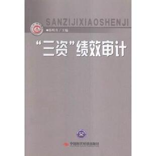 正版“三资”绩效审计