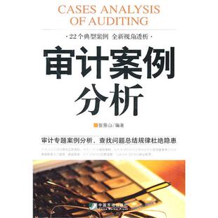 正版审计案例分析