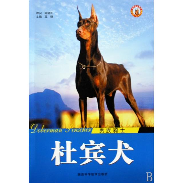 正版贵族骑士杜宾犬/世界名犬系列