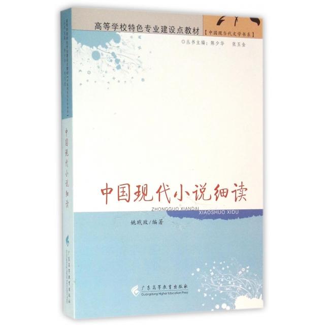 正版中国现代小说细读(高等学校特色专业建设点教材)/中国现当代文学书系