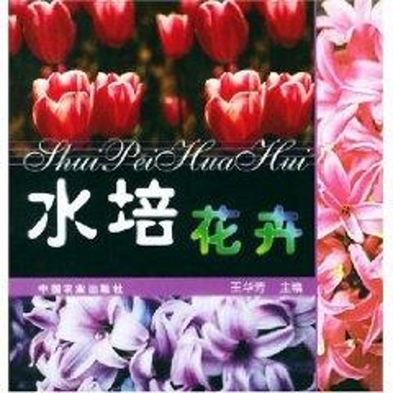 正版水培花卉