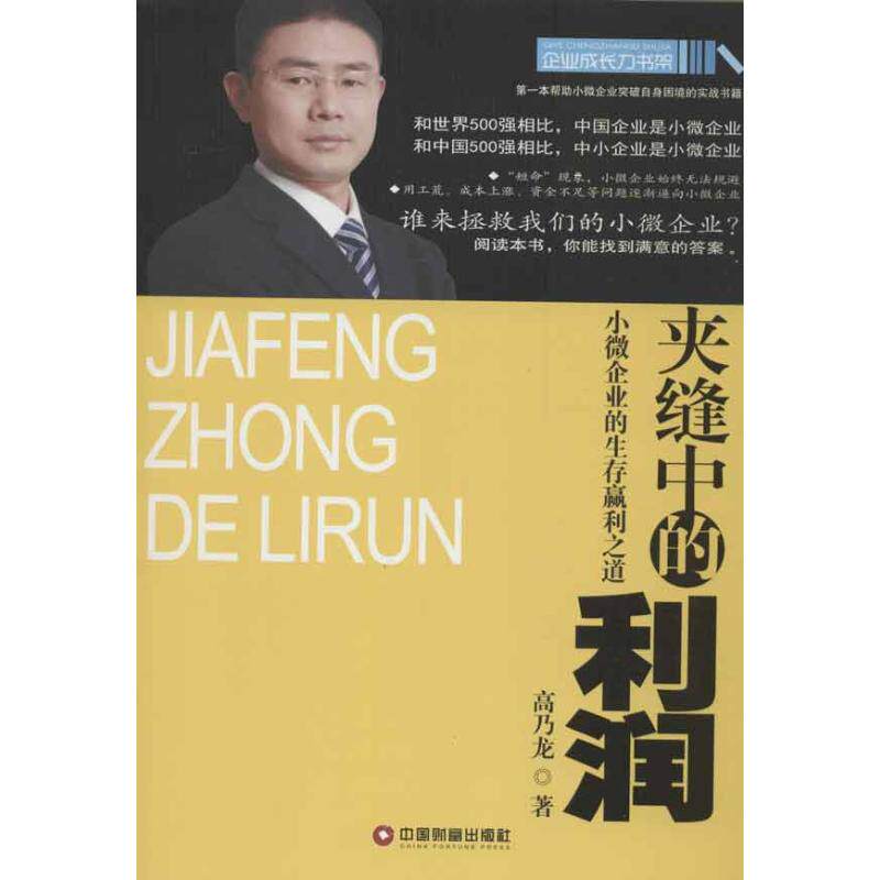 正版夹缝中的利润:小微企业的生存赢利之道