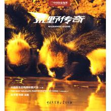 正版A卷-荒野传奇-中国野生动物精彩图片选