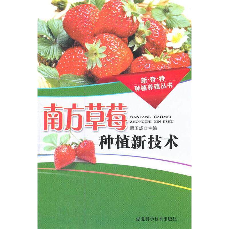 正版南方草莓种植新技术