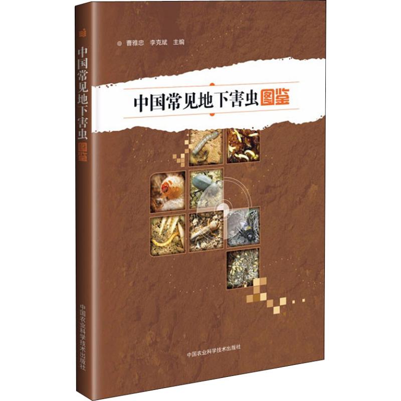 正版中国常见地下害虫图鉴