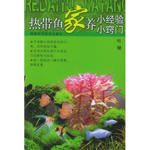 正版热带鱼家养小经验小窍门