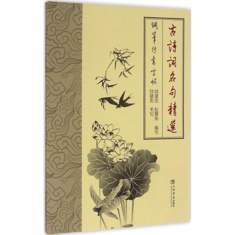 正版古诗词名句精选钢笔行书字帖