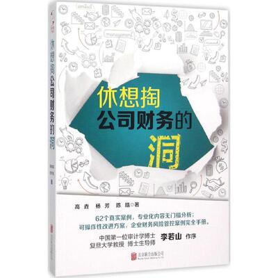正版休想掏公司财务的洞