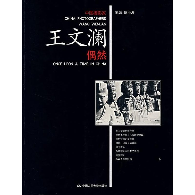 正版偶然(中摄影眼睛 王文澜卷)