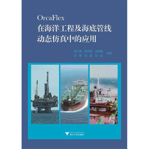 正版OrcaFlex在海洋工程及海底管线动态中的应用