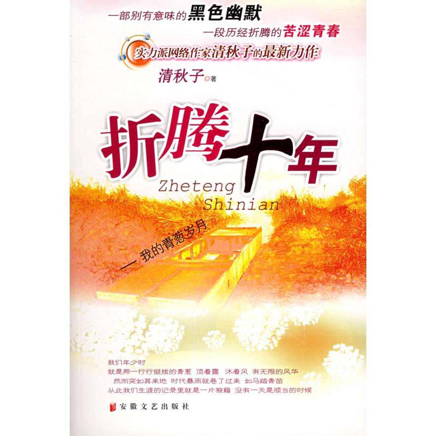 正版折腾十年：我的青葱岁月