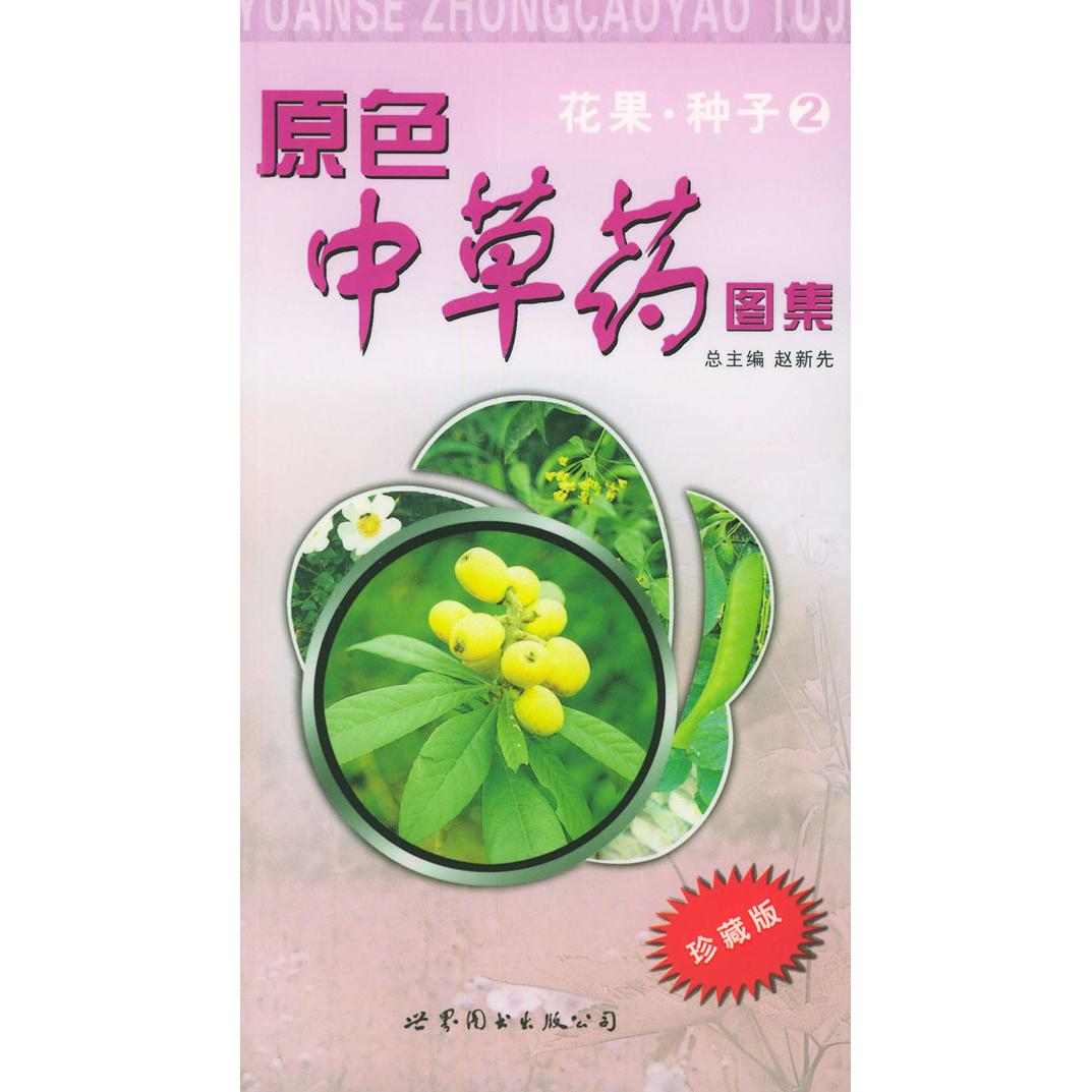 正版原色草图集.花果·种子2