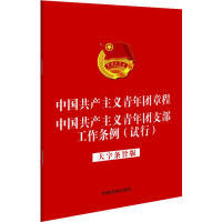《义青年团章程》《义青年团支部工作条例（试行）》（32开大字条旨版）正版