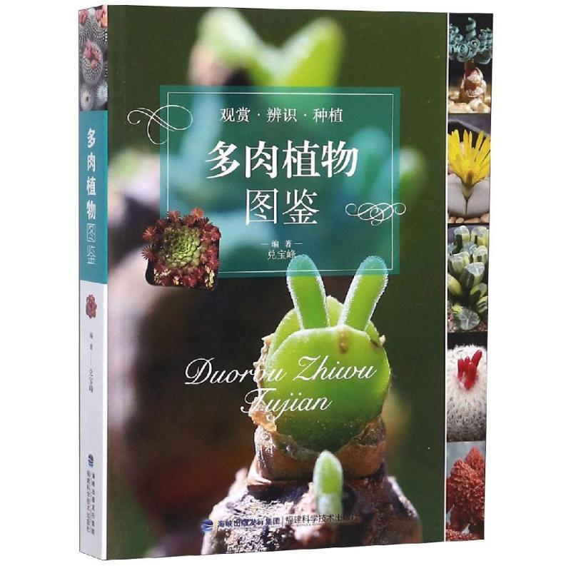 正版多肉植物图鉴