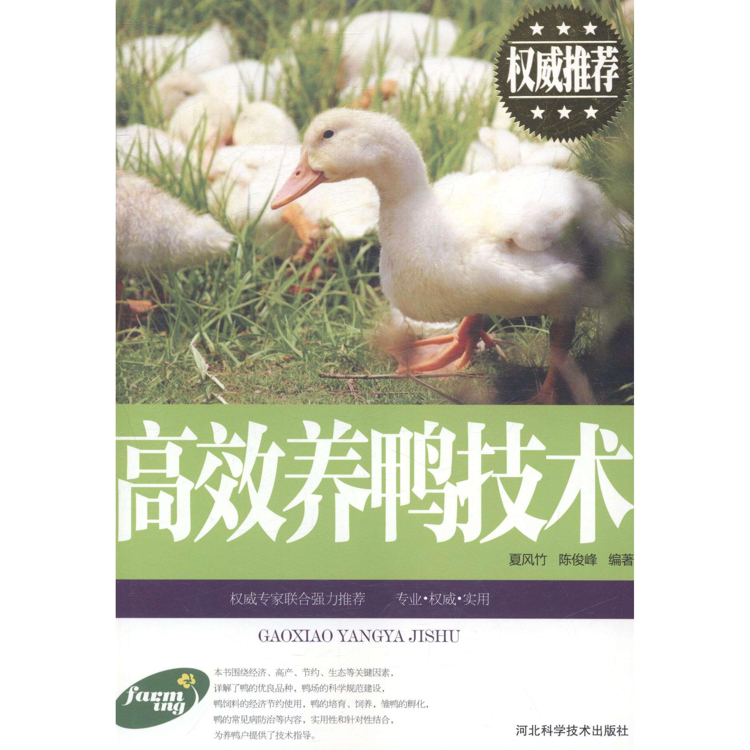 正版养鸭技术