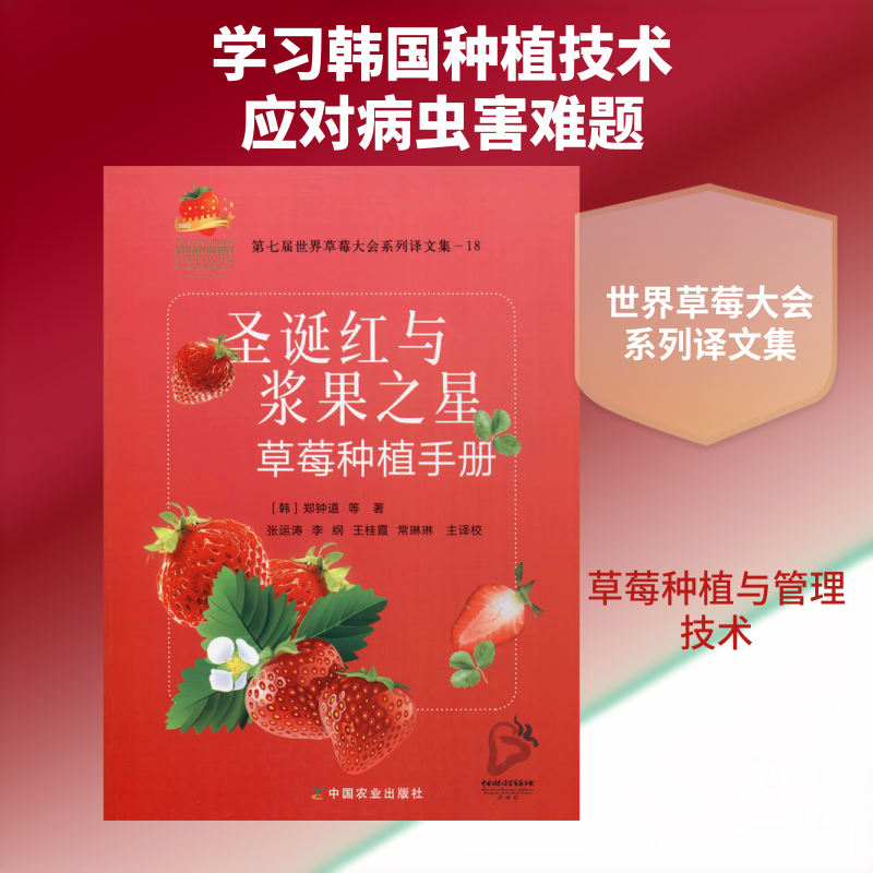 正版圣诞红与浆果之星草莓种植手册
