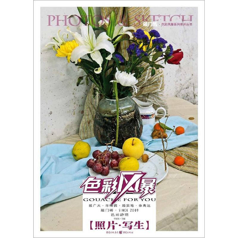 正版色彩风暴系列美术丛书?色彩静物:照片写生
