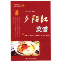 正版新农村住宅图集精选