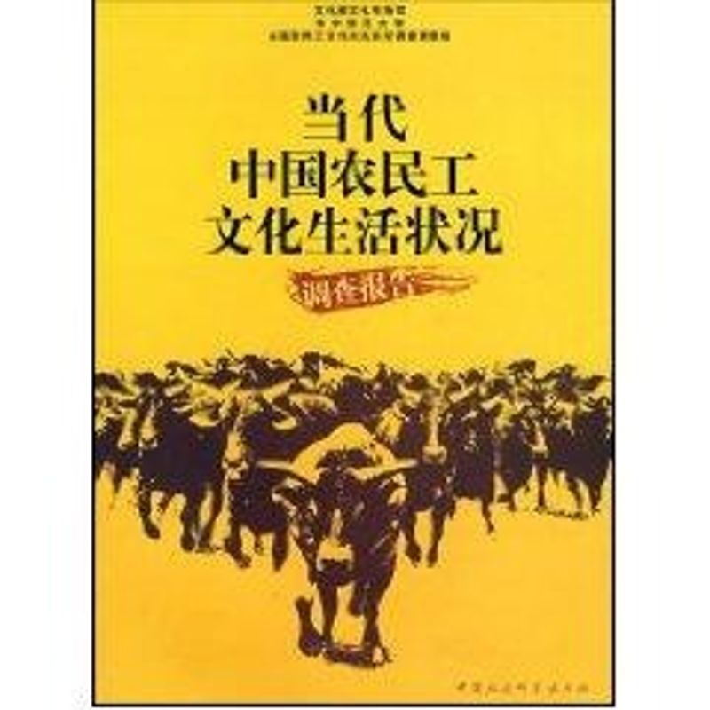 正版当代中国农民工文化生活状况调查报告