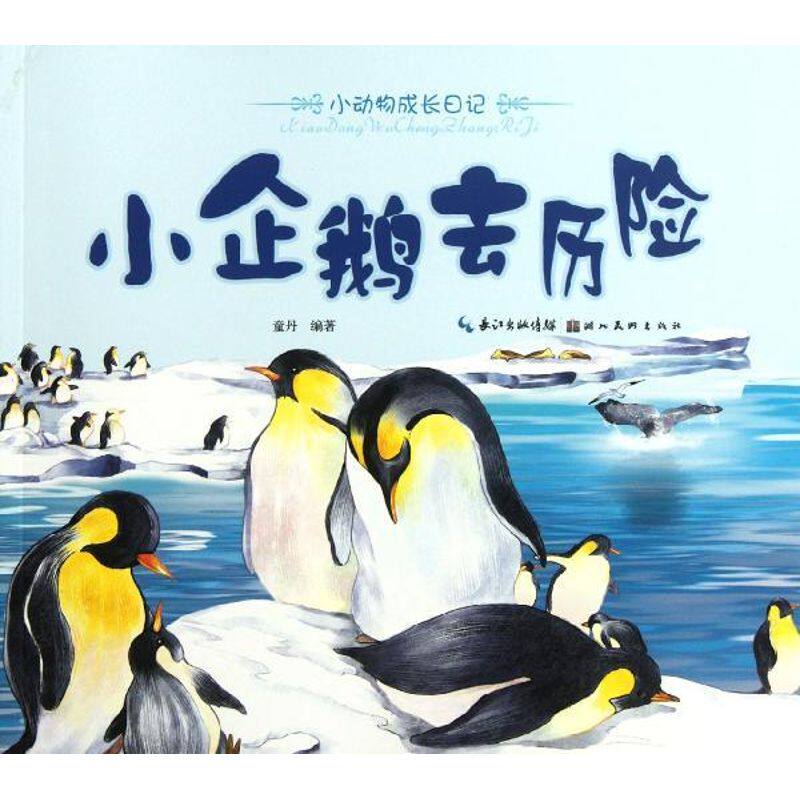 正版小企鹅去历险/美绘本小动物成长日记