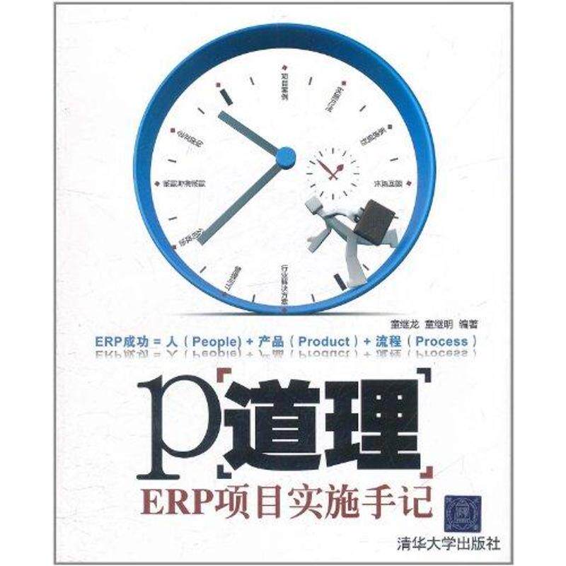 正版P道理&mdash;&mdash;ERP项目实施手记