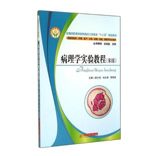 病理学实验教程(第2版)/邵少慰正版