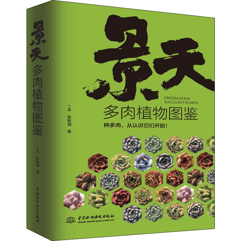 正版景天多肉植物图鉴