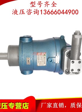 新款上海邵扬油泵10/16/25/40/63/80/100/160/250PCY14-1B 轴包邮