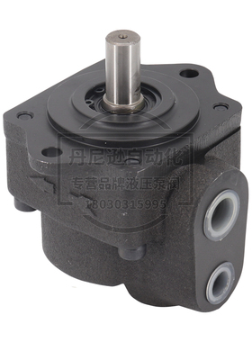 新款叶片泵HVP-FAI-F5R F8R F11R F13R小型液压油泵头DS-11 1包邮