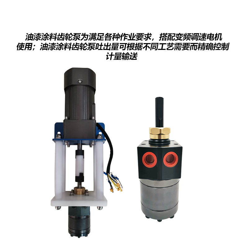 新款静电喷漆齿轮泵油漆涂料齿轮泵计量泵水性油漆泵DISK齿轮包邮