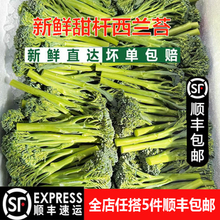 宁夏新鲜甜杆西兰苔西蓝苔手指西兰花苔长杆菜苔酒店食材非山姆