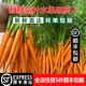 新鲜带叶手指胡萝卜迷你小红萝卜西餐食材水果小萝卜宝宝宴摆兔子