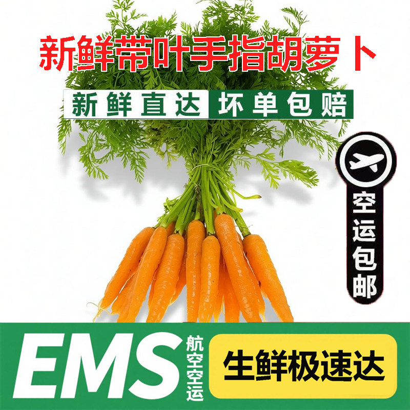 新鲜带叶手指胡萝卜迷你小红萝卜
