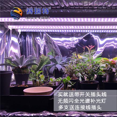 LED植物专用补光灯灯管T8生长灯多肉灯全光谱仿太阳植物灯可串联