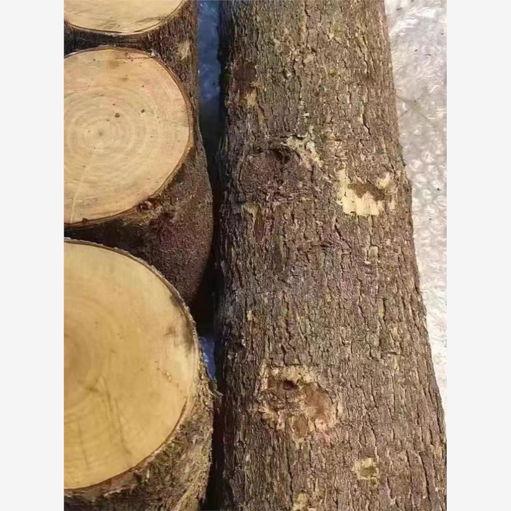 五帝钱桃木压惊搬家别挂
