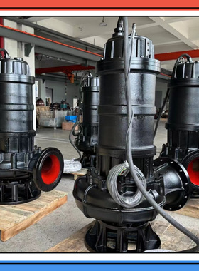 回用水池提升泵MBR池排泥泵沉淀池膜反洗系统泵500WQ2000-10-90S