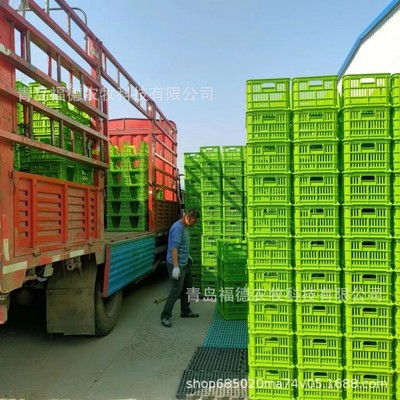 塑料鸡蛋筐规格 W型新式蛋筐 鸡蛋运输筐供应商 种鸡蛋运输筐