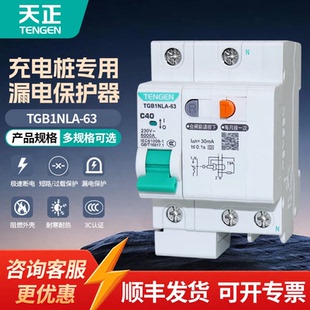 天正电气 漏电保护断路器充电桩C型 漏保TGB1NLA系列