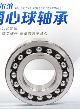 哈尔滨 调心球轴承2i221 2222 2304 2305 2306 2307 2308 2309AT
