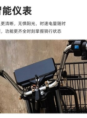 载重王电动电瓶车电摩载货拉货大力神外卖车送餐车踏W板超大爬坡