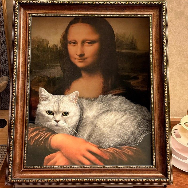 蒙娜丽莎的e微笑猫窝立体油画一体相框保暖猫窝猫屋猫笼子猫抓板,宠物/宠物食品及用品,猫窝/屋/帐篷/沙发,淘宝优惠券,粉丝福利购,淘宝优惠卷
