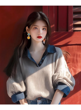 women clothes2026年新款秋季小众独特别致洋气慵懒风灰色假两件