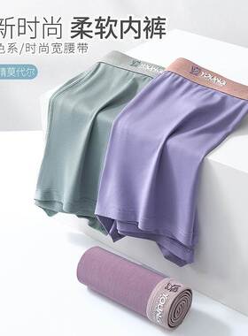 Shorts For Men Underpants Underwear Breathable Boxer Brief