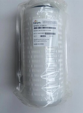 Entegris滤芯低价出SVAG61PE1SVAAR10T1CWSF02MSTCWYEH020T