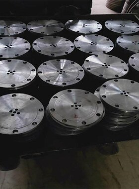 316Lb不钢盲板法兰 DN10PN40锈锻制中压凹盲板0异形凸面法兰